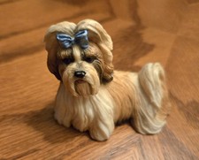 Shih Tzu  Puppy # 89114 Doghouse Puppy
