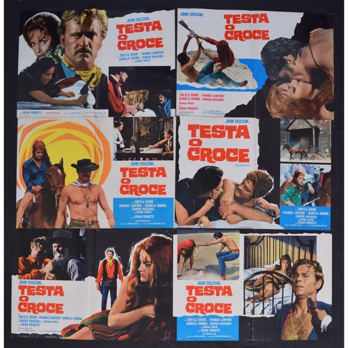 Photobustes testa croce - testa, ou