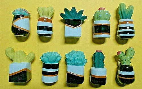 Feves les succulents cactus - feves,