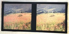 AUTOCHROME VUE STÉRÉO