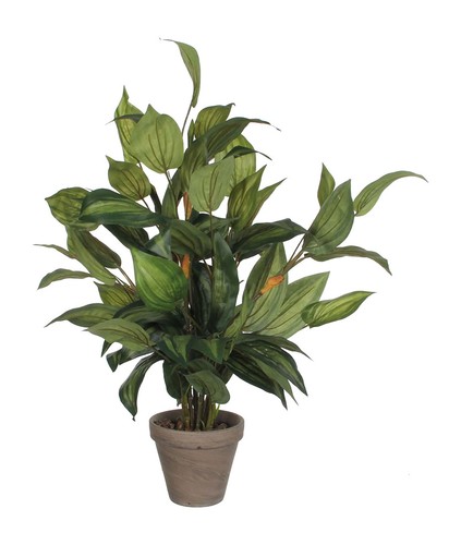 Mica decorations hosta - mica,