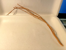 racine araignée 25 cm  mangrove spider root souche bois decor aquarium X1