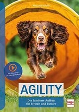 Agility: Der fundierte Aufbau