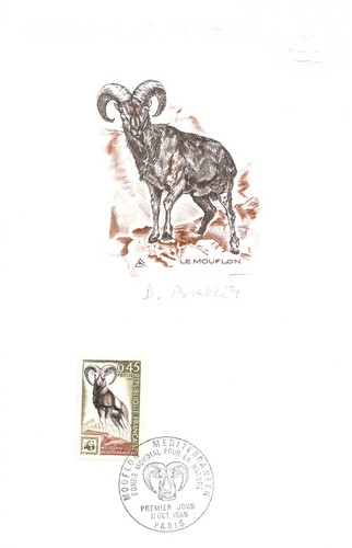 Epreuve artiste mouflon - epreuve,