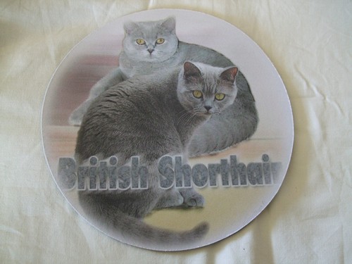 Tapis souris motif chat - tapis,