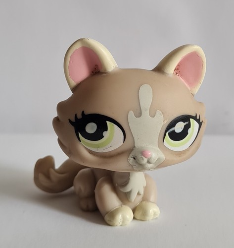 Pet shop 1370 chat sphynx - pet,