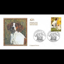 CEF - Les chiens - Epagneul