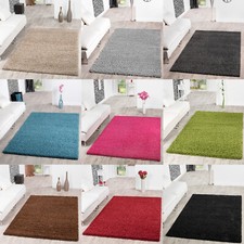 Tapis Shaggy Poils Hauts Poils Longs Tapis Salon Prix Choc Différents Coloris