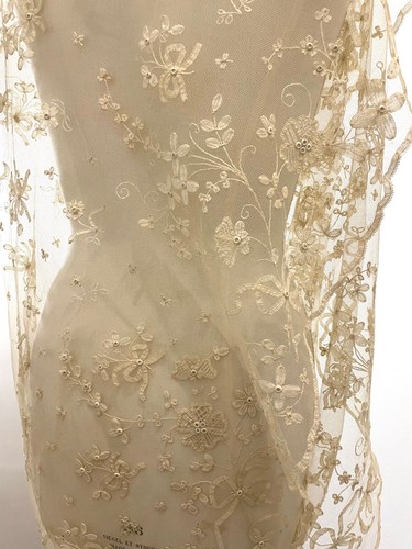 Antique embroidered tulle lace - antique,