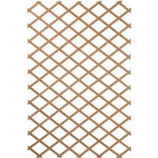 Nature Palissade de jardin 50