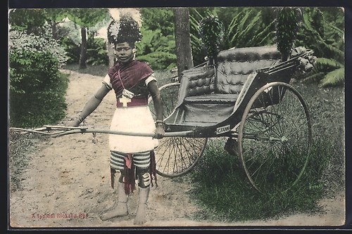 Carte postale pousse - carte, au