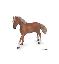 Jument pur-sang anglaise alezan PAPO