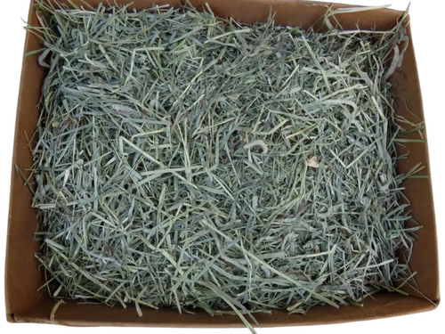 Second cut timothy hay a - second,