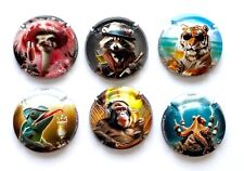 News -Série de 6 Capsules de