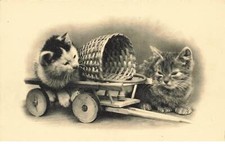 CHATS #MK39983 DEUX CHATS