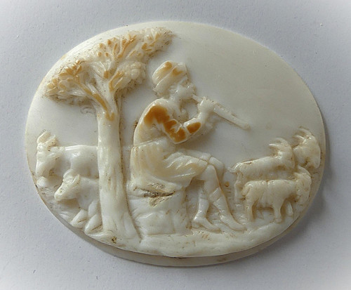 19è camee coquille 19th c - coquille.,