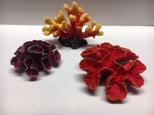 Corail aquarium reef - d'aquarium,