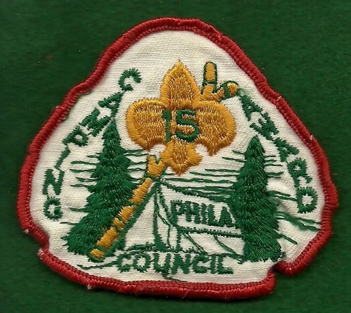 Vintage boy scout - vintage,