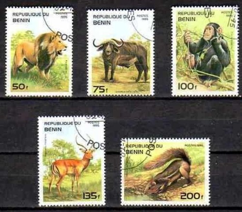 Animaux faune sauvage bénin - animaux,