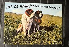 Antique Postcard Humorous Animals Print By How Much Mason