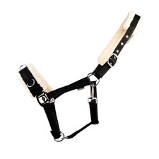 Hy - Caveçon pour cheval