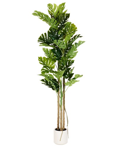 Plante artificielle pot - plante,