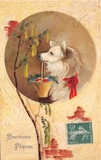 CPA.chien carrying an egg basket embossed card (252419)