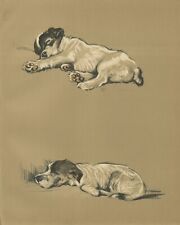 JACK RUSSELL TERRIER DOGS ORIGINAL OLD 1937 DOG ART PRINT by MAC LUCY DAWSON