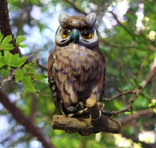 Figurine hibou chouette - 🔥,