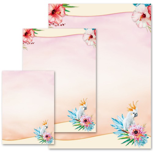 Papier motif cacatoès - motif,