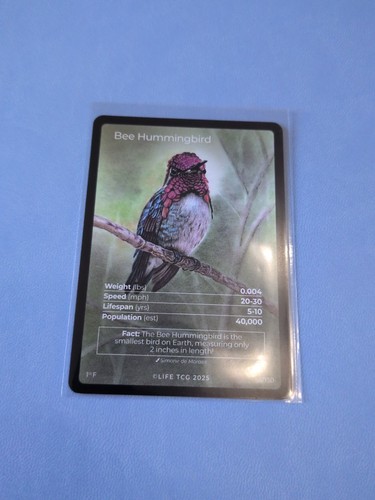 Life tcg birds bee - life, :