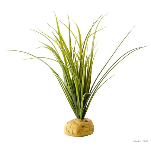 Exo terra plante pour - exo,