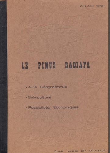 Pinus radiata aire - le,