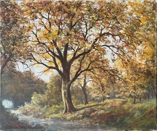 Tableau HST Paysage de forêt