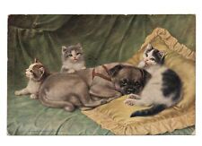 Cats and Dog. illustrator