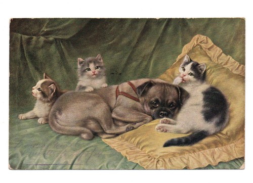 Chats chien illustrateur - et,