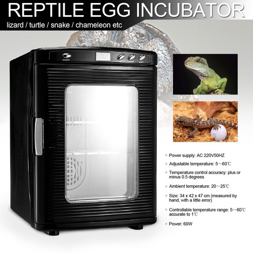 Incubateur reptiles de - reptiles,