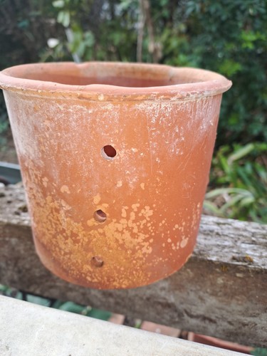 Rare ancienne faisselle - faisselle, en