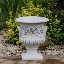 Jardinière raisins bac à