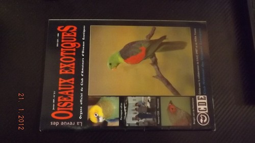 Revue oiseaux exotiques - gc,