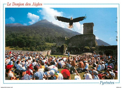 Carte postale animaux - -,