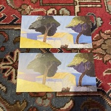 MÜHL « PIN PARASOL » 2