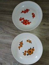 2 assiettes  Arcopal Modèle