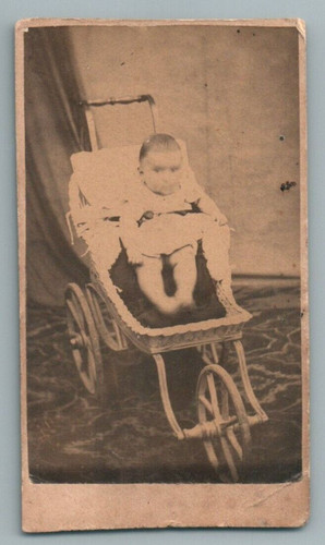 Cdv baby months - baby, his