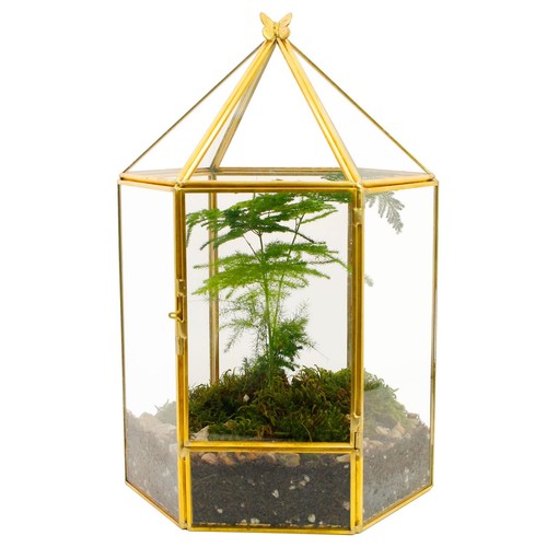 Glass geometric terrarium for - glass,