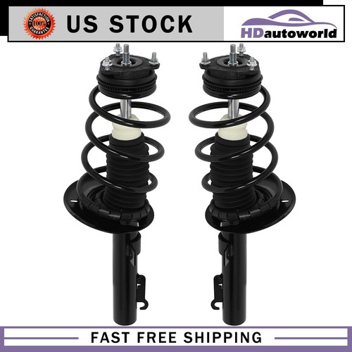 Front complete struts coil - complete,