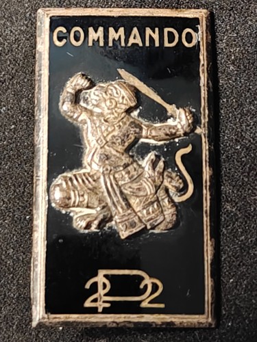 Rare insigne 22e bataillon - insigne,