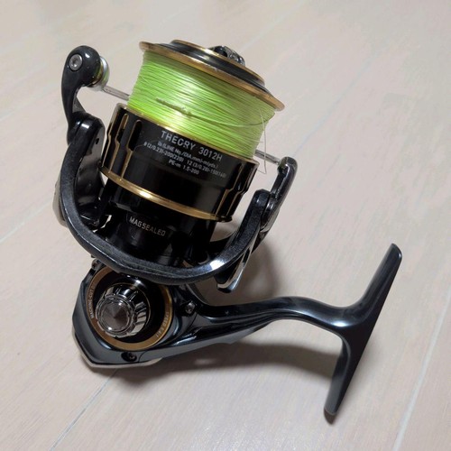 Daiwa theory 3012h - daiwa,