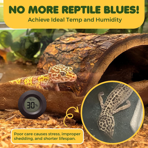 Reptile thermometer with - reptile,