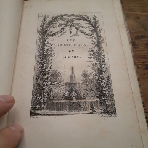 Les tourterelles zelmis - tourterelles, de